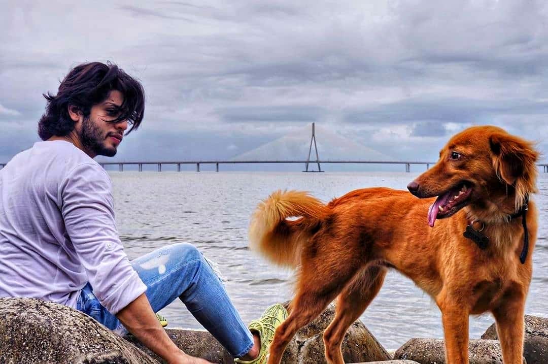 Jibraan Khan with dogs