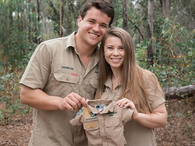 Bindi Irwin Pregnant After 5 Months of Her Wedding