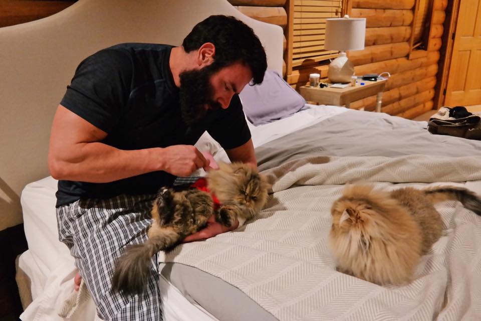 Dan Bilzerian playing with his cats