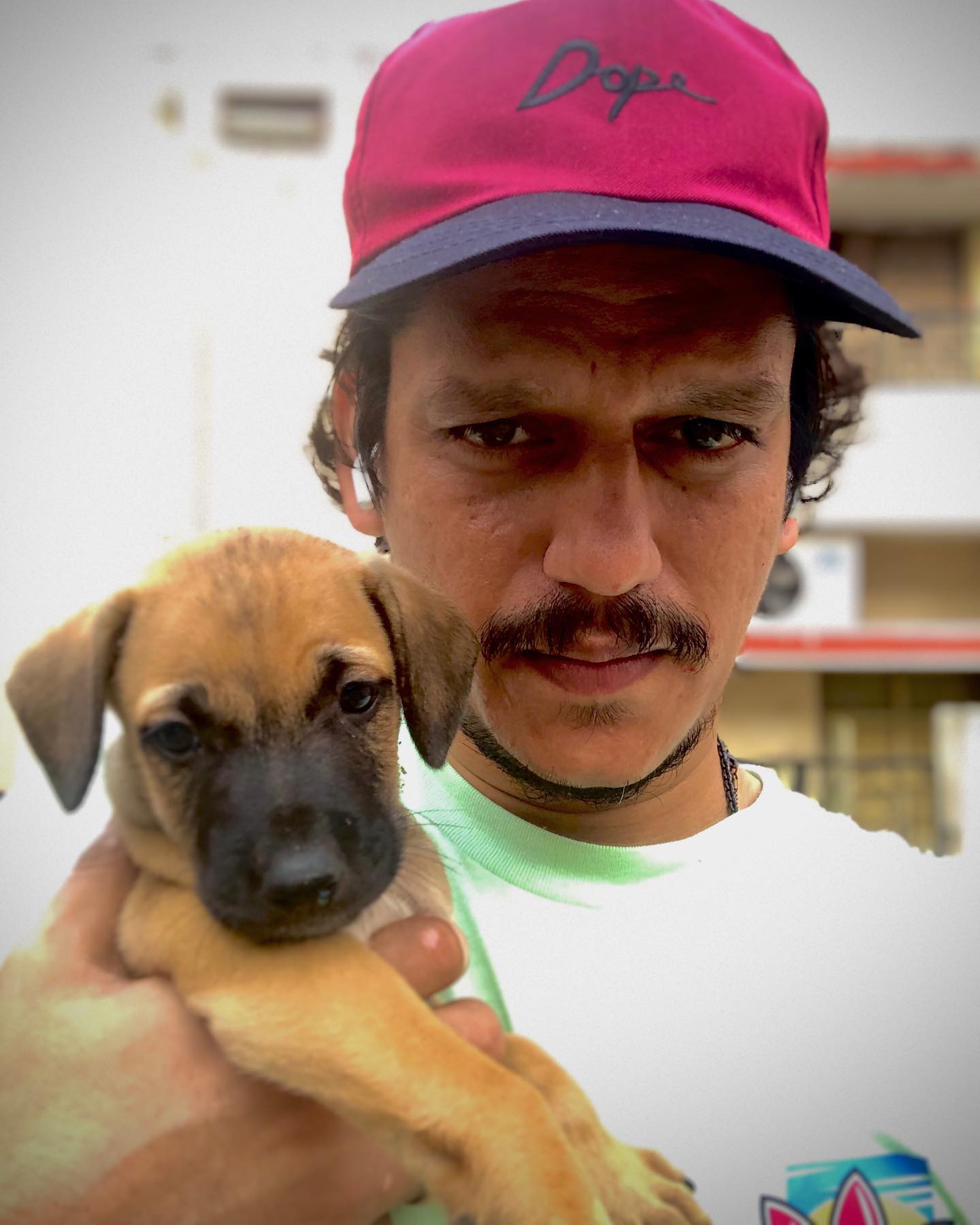 Vijay Varma Actor loves dogs